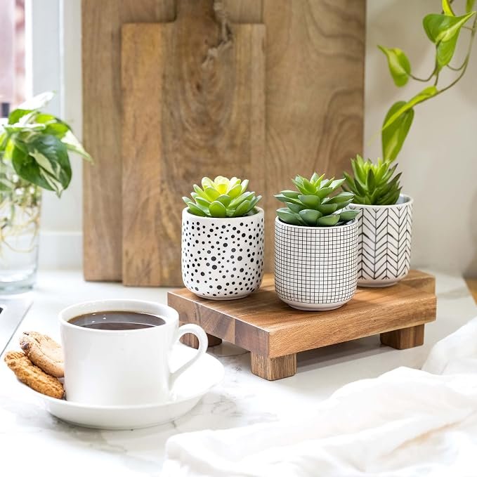 Decorative Artificial Succulent Plant Set