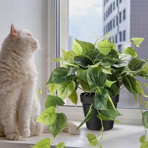 Decorative Artificial Pothos Vine Plant