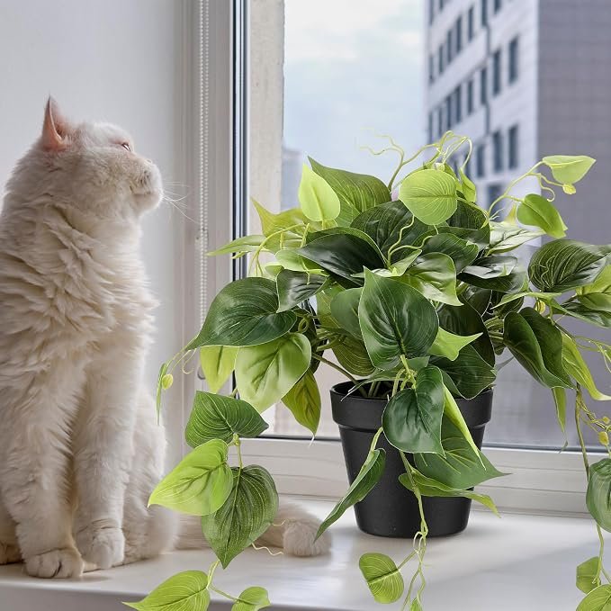 Decorative Artificial Pothos Vine Plant