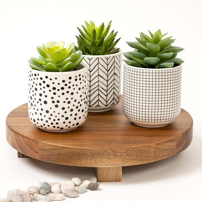 Decorative Artificial Succulent Plant Set - Image 2